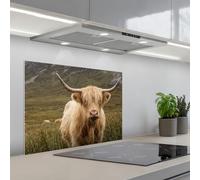 KitchenYeah© Credence Adhesive Pour Cuisine 50x70 cm Panneau Mural Adhesif Fond De Hotte Plaque Pvc Murale Peel And Stick Protege Mur Scotch highlander - Bergen - Champ d'herbe