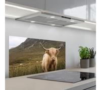 KitchenYeah© Credence Adhesive Pour Cuisine Panneau Mural Adhesif Fond | 45x90 cm - Hotte Plaque Pvc Murale Peel And Stick Protege Mur Scotch highlander - Bergen - Champ d'herbe
