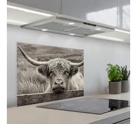 KitchenYeah© Crédence Adhésive Résistant À La Chaleur 50x70 cm Protection Mur Cuisine Panneaux Muraux Adhesif Panneau Decoratif Interieur Highlander écossais - Noir - Blanc - Bois