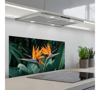 KitchenYeah© Credence Cuisine 45x90 cm Adhesif Protection Mur Plaque De Cuisson Plastique Rigide Revetement Murale À Coller Oiseau de paradis - Fleur - Exotique