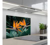KitchenYeah© Credence Cuisine 50x70 cm Adhesif Protection Mur Plaque De Cuisson Plastique Rigide Revetement Murale À Coller Oiseau de paradis - Fleur - Exotique