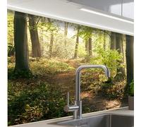 KitchenYeah© Credence Cuisine 60x80 cm Adhesif Protection Mur Plaque De Cuisson Plastique Rigide Revetement Murale À Coller Forêt - Arbres - Chemin - Soleil - Plantes - Feuilles - Nature