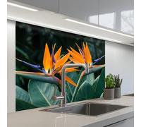 KitchenYeah© Credence Cuisine 80x100 cm Adhesif Protection Mur Plaque De Cuisson Plastique Rigide Revetement Murale À Coller Oiseau de paradis - Fleur - Exotique