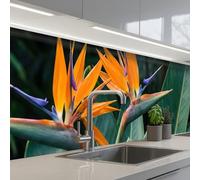KitchenYeah© Credence Cuisine 80x400 cm Adhesif Protection Mur Plaque De Cuisson Plastique Rigide Revetement Murale À Coller Oiseau de paradis - Fleur - Exotique