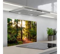 KitchenYeah© Crédence Cuisine À Coller 50x70 cm Protection Plaque De Cuisson Adhesif Plastique Rigide Dalle Murale Forêt - Chemin - Arbres - Vert - Soleil - Nature