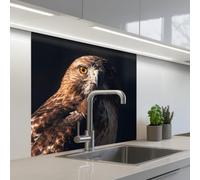 KitchenYeah© Crédence Cuisine À Coller 80x80 cm Protection Plaque De Cuisson Adhesif Plastique Rigide Dalle Murale Oiseau proie - Buse - Brune