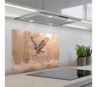 KitchenYeah© Credence Cuisine Adhesive 50x70 cm Protege Mur Revetement Mural Adhesif Parement Interieur À Coller Plaque Plastique Rigide Buse - Rapace - Nature - Marron