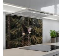 KitchenYeah© Credence Cuisine Adhesive 55x80 cm Protege Mur Revetement Mural Adhesif Parement Interieur À Coller Plaque Plastique Rigide Pygargue à tête blanche - Vol - Forêt - Nature