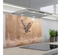 KitchenYeah© Credence Cuisine Adhesive 60x90 cm Protege Mur Revetement Mural Adhesif Parement Interieur À Coller Plaque Plastique Rigide Buse - Rapace - Nature - Marron