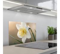 KitchenYeah© Credence Cuisine Sur Mesure 40x60 cm Plaque Adhesive Murale Panneau Decoratif Interieur Peel And Stick Mural Protection Mur Jonquille - Fleur - Minimaliste