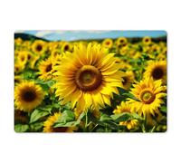KitchenYeah© Dessous de Plat Set de 6 45x30 cm Set de Table Plastique Rigide Vinyl Antidérapant Original Coloré Plates Tournesol - Jaune - Nature - Fleurs