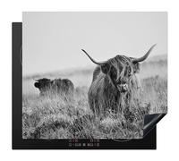 KitchenYeah© Protection Plaque Cuisson Deco Cuisine Cache Induction 57x51 | 57x51 cm - cm Protège Pour Cuisiniere Protection Bœuf des Highlands écossais - vache - gris - cornes - fourrure - nature