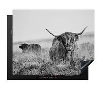 KitchenYeah© Protection Plaque Cuisson Deco Cuisine Cache Induction 65x52 | 65x52 cm - cm Protège Pour Cuisiniere Protection Bœuf des Highlands écossais - vache - gris - cornes - fourrure - nature