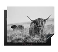 KitchenYeah© Protection Plaque Cuisson Deco Cuisine Cache Induction 77x59 | 77x59 cm - cm Protège Pour Cuisiniere Protection Bœuf des Highlands écossais - vache - gris - cornes - fourrure - nature