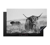 KitchenYeah© Protection Plaque Cuisson Deco Cuisine Cache Induction 83x51 cm Protège Pour Cuisiniere Protection Bœuf des Highlands écossais - vache - gris - cornes - fourrure - nature - 83x51 cm