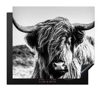 KitchenYeah© Protection Plaque Cuisson Deco Cuisine Cache Induction Protege | 60x52 cm - Pour Cuisiniere Protection Vache - Highlander écossais - Noir - Blanc - Animal - Nature - Vie sauvage