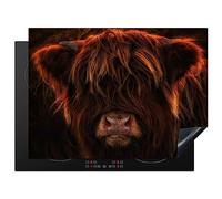 KitchenYeah© Protection Plaque Cuisson Deco Cuisine Cache Induction Protege | 71x52 cm - Pour Cuisiniere Protection Highlander écossais - Vache - Portrait - Animaux