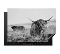 KitchenYeah© Protection Plaque Cuisson Protecteur Decoration Accessoire | 72x52 cm Deco Cuisine Cache Induction Bœuf des Highlands écossais - vache - gris - cornes - fourrure - nature