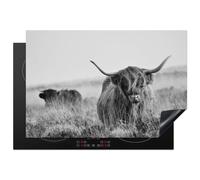 KitchenYeah© Protection Plaque Cuisson Protecteur Decoration Accessoire | 76x52 cm Deco Cuisine Cache Induction Bœuf des Highlands écossais - vache - gris - cornes - fourrure - nature