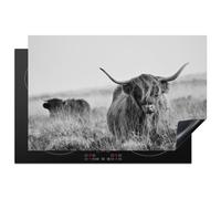 KitchenYeah© Protection Plaque Cuisson Protecteur Decoration Accessoire | 77x52 cm Deco Cuisine Cache Induction Bœuf des Highlands écossais - vache - gris - cornes - fourrure - nature