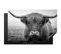 KitchenYeah© Protection Plaque Induction Protege Deco Cuisine Cache Protège | 81x52 cm - De Cuisson Accessoires Highlander écossais - Noir - Blanc - Herbe