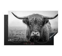 KitchenYeah© Protection Plaque Induction Protege Deco Cuisine Cache Protège | 83x51 cm - De Cuisson Accessoires Highlander écossais - Noir - Blanc - Herbe