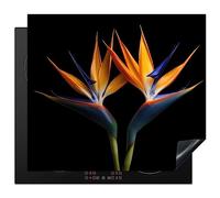 KitchenYeah© Protection Plaque Induction Protege Décoration Cuisine Cache | 60x52 cm - Protège De Cuisson Accessoire Plantes - Fleurs - Fleur d'oiseau de paradis - Portrait - Noir