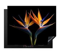 KitchenYeah© Protection Plaque Induction Protege Décoration Cuisine Cache | 65x52 cm - Protège De Cuisson Accessoire Plantes - Fleurs - Fleur d'oiseau de paradis - Portrait - Noir