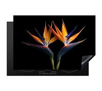KitchenYeah© Protection Plaque Induction Protege Décoration Cuisine Cache | 77x51 cm - Protège De Cuisson Accessoire Plantes - Fleurs - Fleur d'oiseau de paradis - Portrait - Noir