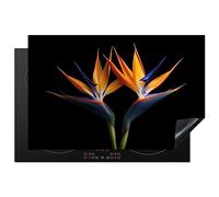 KitchenYeah© Protection Plaque Induction Protege Décoration Cuisine Cache | 80x52 cm - Protège De Cuisson Accessoire Plantes - Fleurs - Fleur d'oiseau de paradis - Portrait - Noir