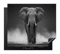 KitchenYeah© Protège Plaque Induction 59x52 cm Deco Cuisine Accessoire Pratique Protection De Vitroceramique Kitchen Gadget Éléphant - Noir - Blanc - Fumée