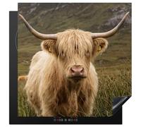 KitchenYeah© Protège Plaque Induction Deco Cuisine Accessoire Pratique | 78x78 cm - Protection De Vitroceramique Kitchen Gadget Scotch highlander - Bergen - Champ d'herbe
