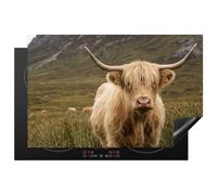 KitchenYeah© Protège Plaque Induction Deco Cuisine Accessoire Pratique | 80x52 cm - Protection De Vitroceramique Kitchen Gadget Scotch highlander - Bergen - Champ d'herbe