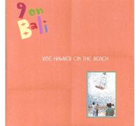 Kite Hawker On The Beach