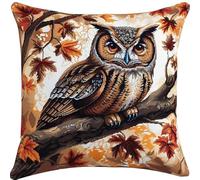 kitphoenix DIY Crochet à la Main Kits Hibou Tapis DIY Broderie Kit Tapis Point Noué à Faire pour Débutants, Adultes ou Enfants,Latch Hook Canevas Coussin Point 43x43cm