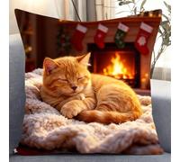 kitphoenix Diy Crochet À La Main Kits, Kits De Coussins Avec Crochet, Chat Endormi En Hiver,43×43Cm Kit Tapis Point Noué À Faire Pour Débutants,Adultes Ou Enfants,Latch Hook Canevas Coussin Point