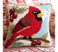 kitphoenix Kit Crochet à Loquet Complet,Housse de Coussin Point Noué DIY 43x43cm,Oiseau rouge de Noël,Kit Créatif Facile pour Débutants Enfants Adultes,pour Déco Maison et Loisirs Manuels Amusants