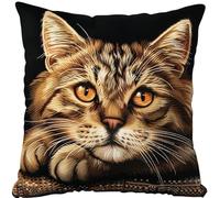 kitphoenix Kit de Coussin à Verrouillage Chat Kit de Tapis de Crochet à Point, Création de Tapis à Crocher pour Adultes et Enfants, Modèle de couleur pré-imprimé, 43x43cm