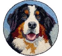 Kitquiver Animal Tapis Point Noué À Faire Bouvier Bernois De Dessin Animé Kits De Crochet Pour La Décoration Intérieure. Kit De Crochets Pour Débutants，Enfants Et Adultes. 50x50cm