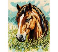 Kits Broderie Point de Croix, Cheval animal Point de Croix Kit de Broderie Imprimé 11CT DIY Kit de Démarrage de Broderie 40x50cm