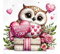 Kits de broderie au point de croix Abillyn Amour Chouette Estampillé avec motif imprimé Kit de démarrage (Chouette 1)