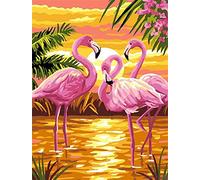 Kits de broderie au point de croix estampés, OWN4B Flamant rose au bord du lac au coucher du soleil Motif imprimé 11 CT 36x46 cm Kit de broderie DIY (Flamant rose)