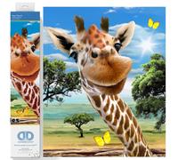 Kits de broderie diamant pour adultes : un kit cr atif et relaxant avec des pierres pr cieuses Dotz (52,5 x 41,5 cm).