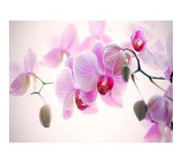 Kits de peinture au diamant 5D pour adultes, motif orchidée, broderie ronde à faire soi-même, 30 x 40 cm