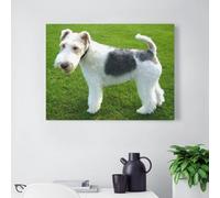 Kits De Peinture Diamant 5D Pour Adultes_Wire Fox Terrier Chien Diamond Painting_Adulte Diamond Painting Strass Cristal Complet Kits Art De La Mosaïque Halloween Cadeau(40x40cm）