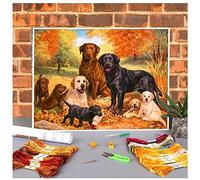 Kits De Point De Croix, Diy Kit De Broderie 11Ct Estampé Animal Chien Labrador Imprimé Toile Soluble Dans L'Eau 11Ct Point De Croix Ensemble Bricolage Broderie Dmc Fils Fait À La Main Travail Dé