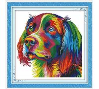 Kits de point de croix estampé bricolage 14CT couture gamme complète de kits de démarrage de broderie pré-imprimés pour les débutants -Chien arc-en-ciel 34 x 34 cm