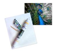 Kits Picasso rose et Van Gogh violet, peinture par numéros pour adultes | Toile murale 40 x 50 cm à colorier par numéros pour adultes et adolesce