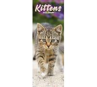 Kittens Slim Calendar 2026 Cute Slimline Calendar - 12 Month