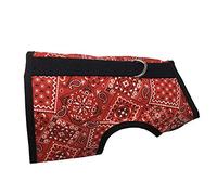 Kitty Holster Harnais pour Chat avec Bandana Rouge Taille S/M